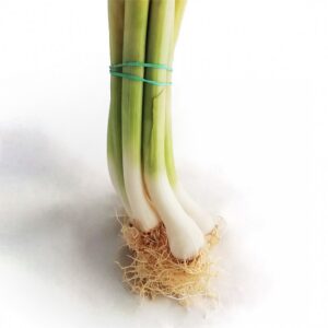 ALLS TENDRES - MANAT -